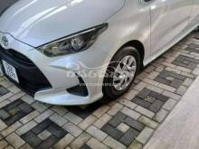 Toyota Yaris 2023 Car