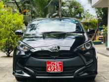 Toyota Yaris 2023 Car
