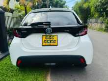 Toyota Yaris 2024 Car