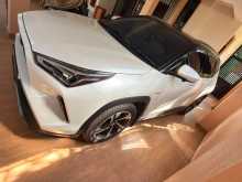 Toyota Yaris Cross 2025 Car