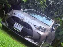 Toyota Yaris KSP210 2024 Car