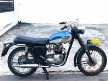 Triumph Tiger 100 0 Motorbike