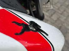 https://riyasewana.com/uploads/tvs-apache-rtr-18521306265.jpg