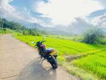 TVS Ntorq Race Edition 2021 Motorbike