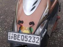 TVS Scooty Pep Plus 2016 Motorbike