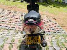 TVS Scooty Streak 2012 Motorbike