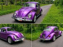 Volkswagen Beetel 1982 Car