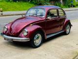Volkswagen Beetle 1972 Car