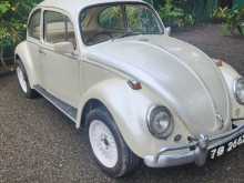 Volkswagen Beetle 1300 1966 Car