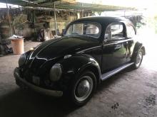 Volkswagen Beetle 1953 Car