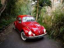 Volkswagen Beetle 1969 Car