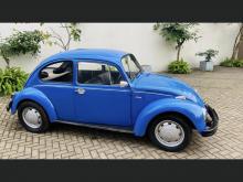 Volkswagen Beetle 1957 Car