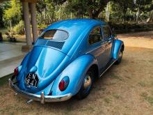 Volkswagen Beetle 1955 Car