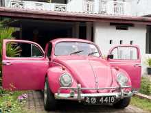 Volkswagen Beetle 1961 Car