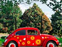 https://riyasewana.com/uploads/volkswagen-beetle-1965-611244112423.jpg