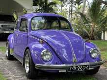 Volkswagen Beetle 1969 0 Car