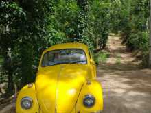 Volkswagen Beetle 1969 Car