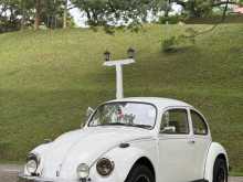 Volkswagen Beetle 1970 Car