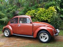 Volkswagen Beetle 1969 Car