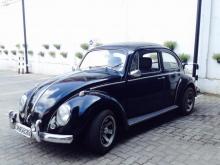 Volkswagen Beetle 1959 Car