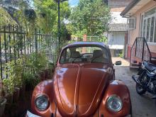 Volkswagen Beetle 1980 Car