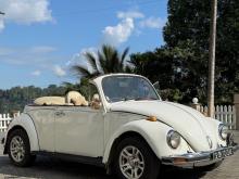 Volkswagen Beetle 1980 Car