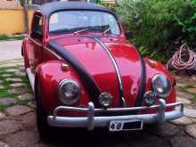 Volkswagen Beetle 1961 Car