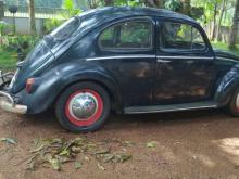 Volkswagen Beetle 1961 Car