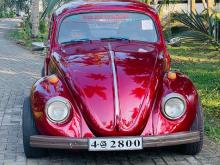Volkswagen Beetle Car 1980 Car