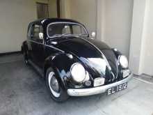 Volkswagen Beetle 1953 Car