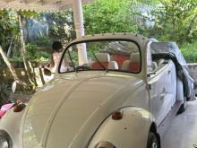 Volkswagen Beetle 1980 Car