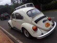 Volkswagen VolksWagon 1980 Car