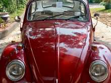 Volkswagen Beetle 1961 Car