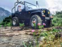 Willys 4DR5 1990 SUV