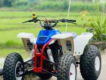 Yamaha Atv 2007 Motorbike