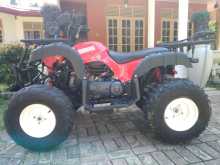 Yamaha ATV 2010 Other