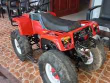 Yamaha ATV 2010 Motorbike