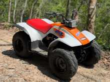 Yamaha Atv Beach Quad 2016 Motorbike