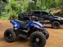 Yamaha Atv Beach Quad 2021 Motorbike