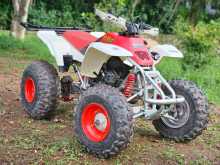 Yamaha Blaester ATV 200 2008 Motorbike