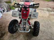 Yamaha ATV 2008 Motorbike