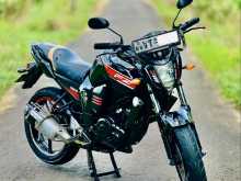 Yamaha FZ-S V Number 2010 Motorbike