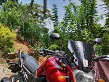 https://riyasewana.com/uploads/yamaha-fz-v1-191523534593.jpg