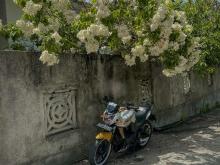 https://riyasewana.com/uploads/yamaha-fz-v1-2941056363.jpg