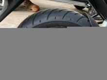 Yamaha Fz V2 Anniversary 2019 Motorbike