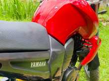 https://riyasewana.com/uploads/yamaha-fz16-513072713993.jpg