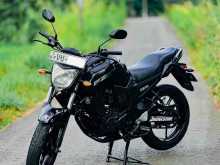 https://riyasewana.com/uploads/yamaha-fz16-v1-2317304822122.jpg