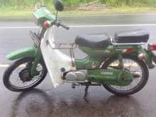 https://riyasewana.com/uploads/yamaha-met-50-2117001113213.jpg