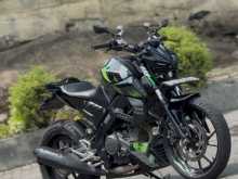 Yamaha MT-15 2019 Motorbike
