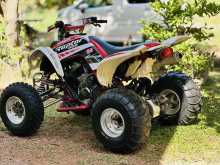 https://riyasewana.com/uploads/yamaha-raptor-2716013922753.jpg